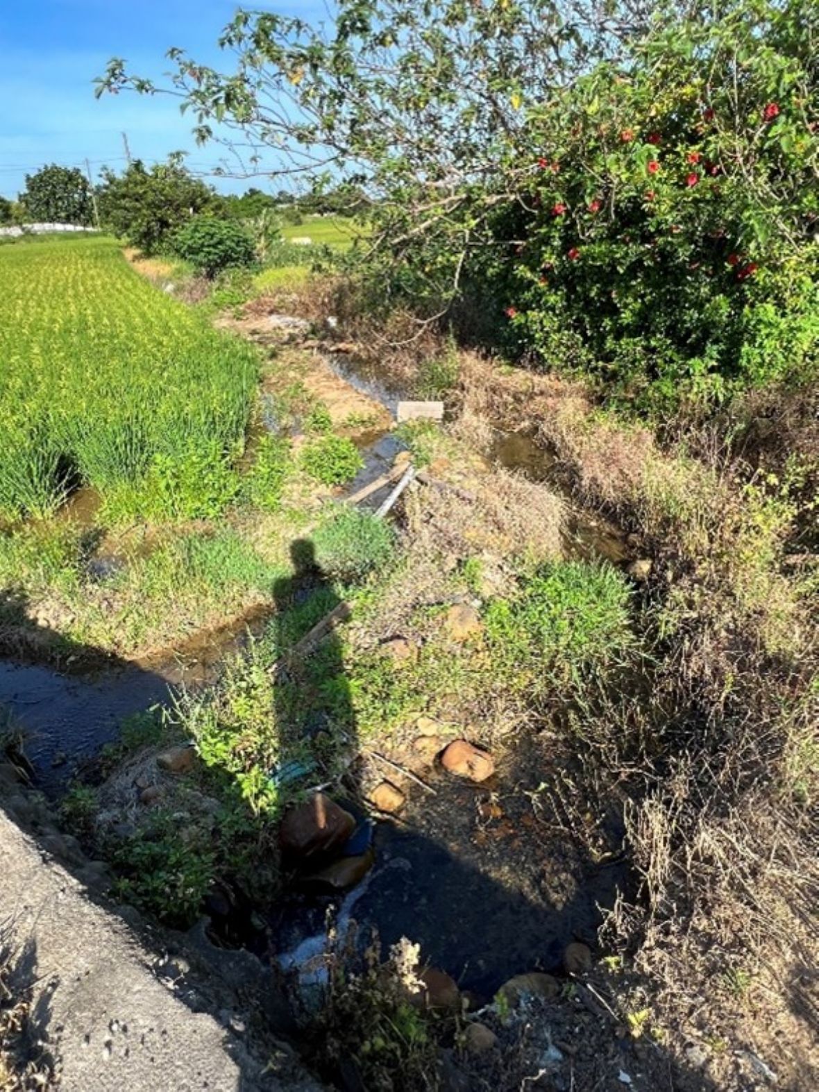 徒手做的傳統分水溝渠