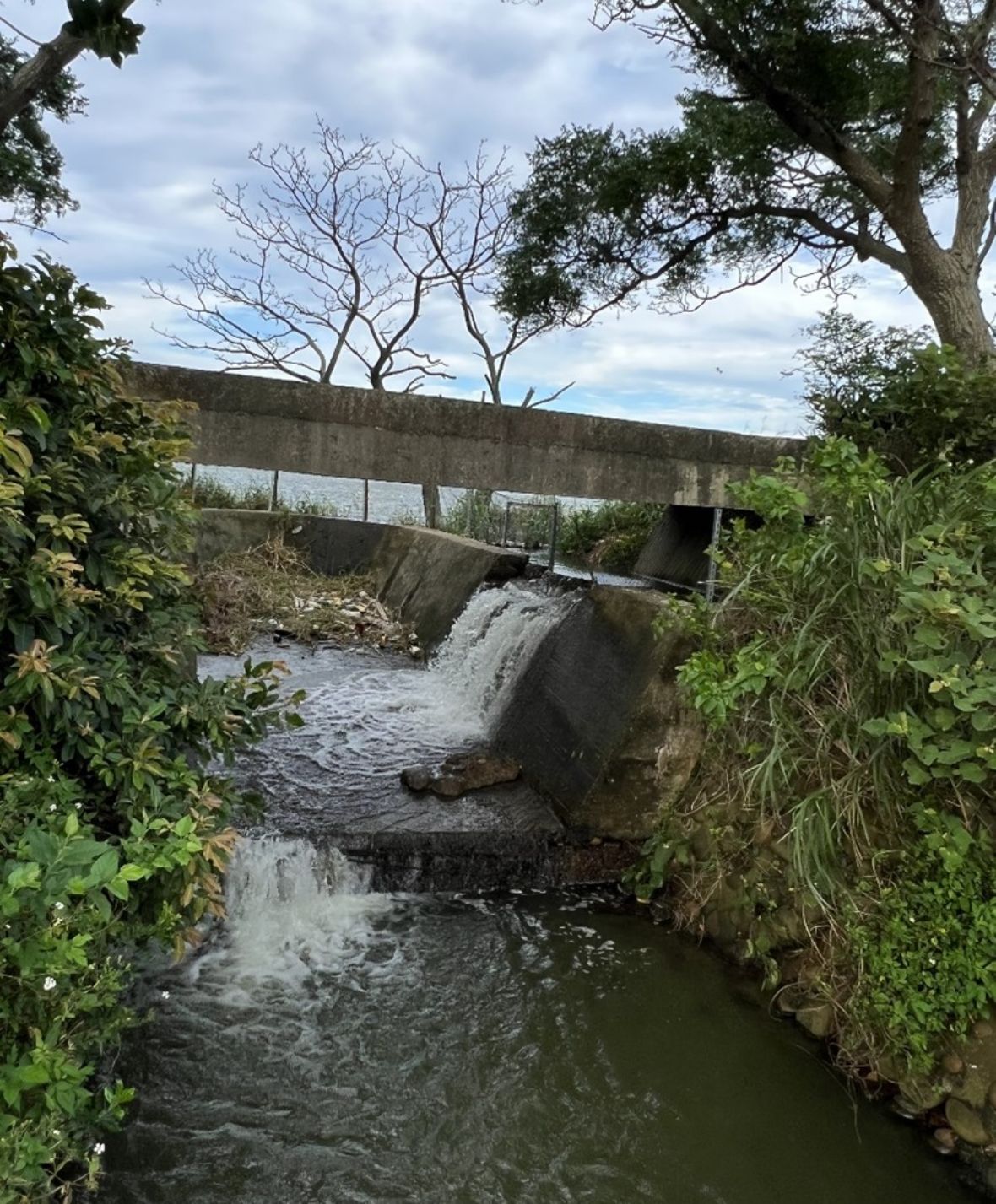 光復圳11-1號池的排水閘門