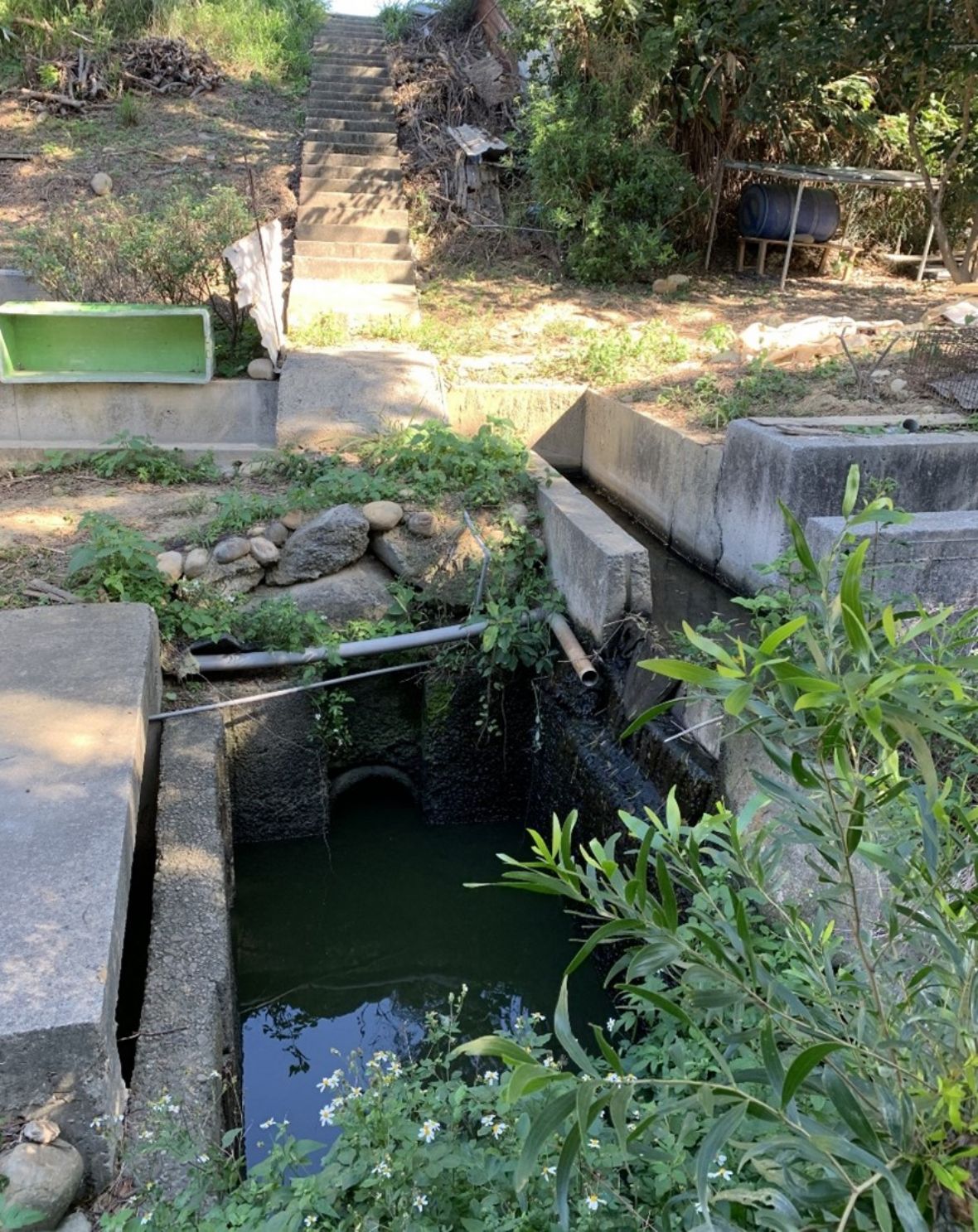 中崙村11鄰埤塘給水門分水閘門