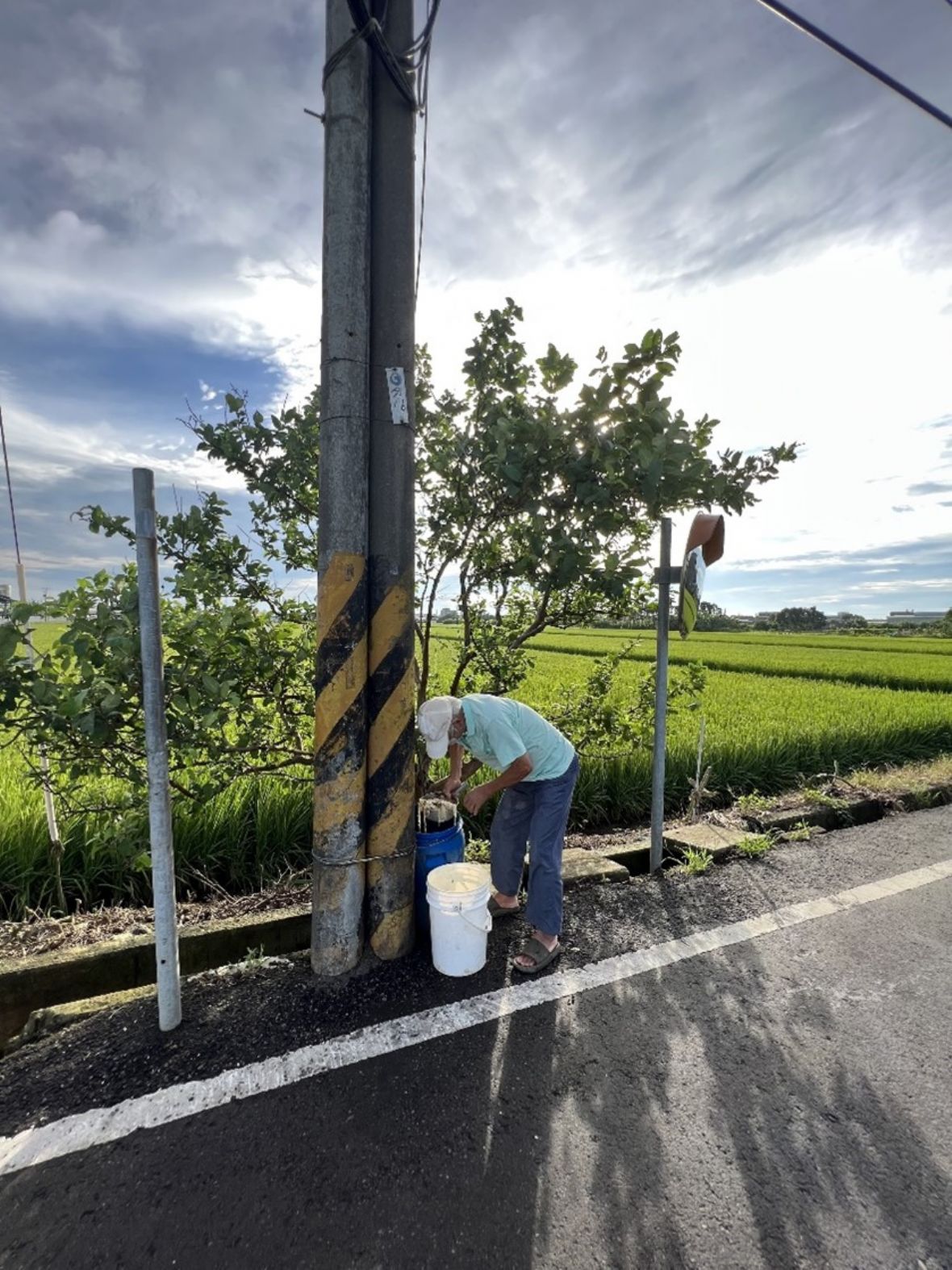 143-144新社區廚餘桶