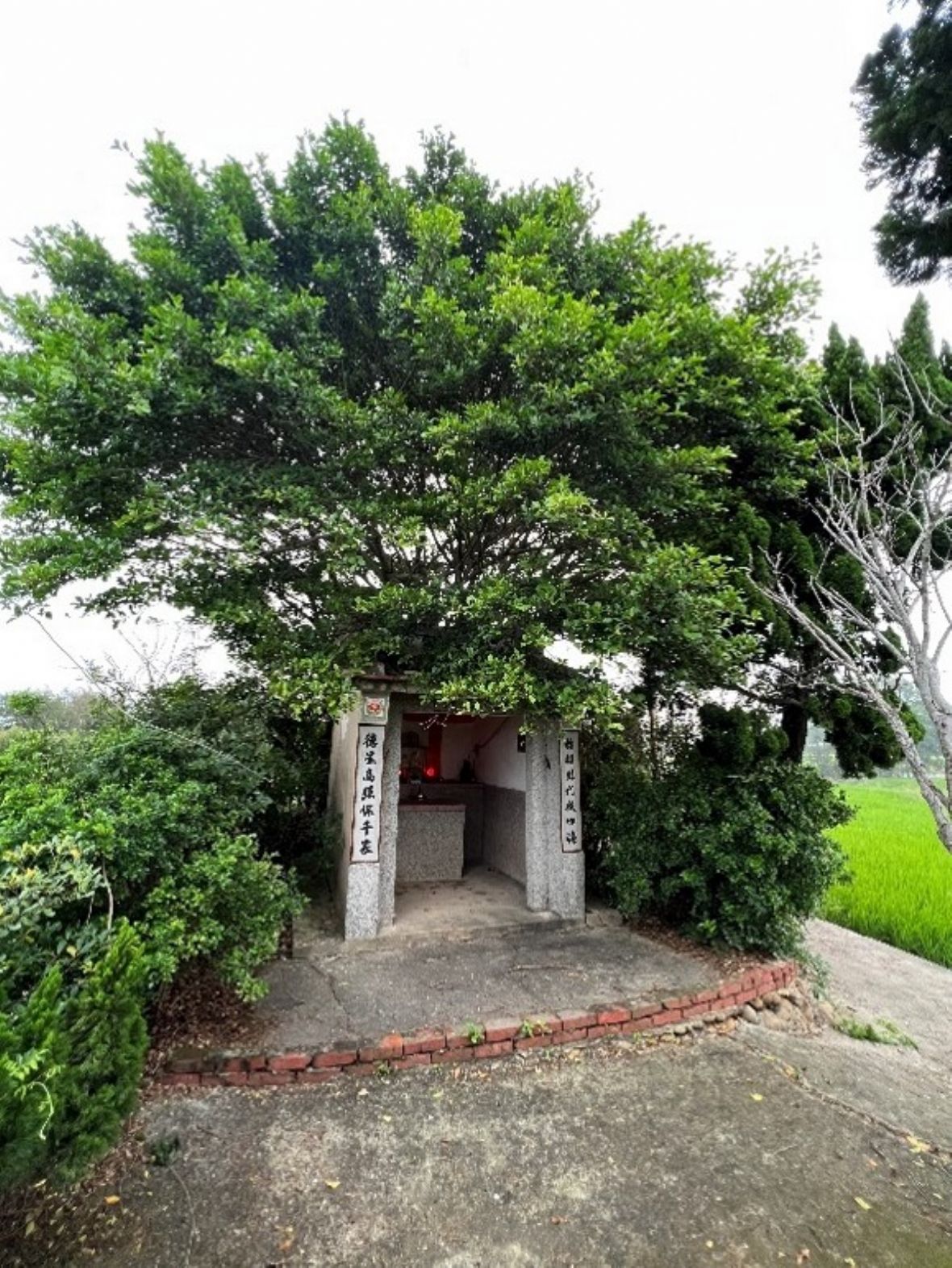 上坑村伯公廟（24.904380, 120.980661）