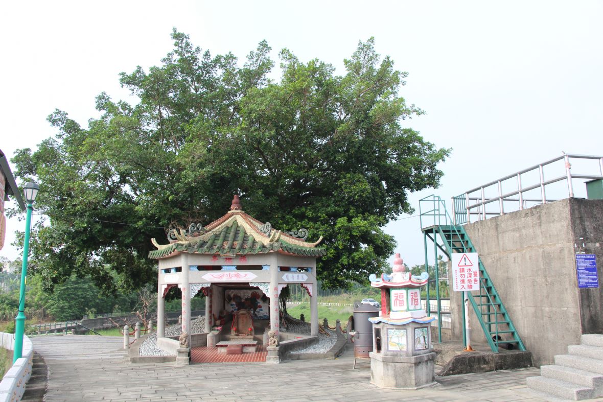 伯公後方大榕樹、前方天官賜福