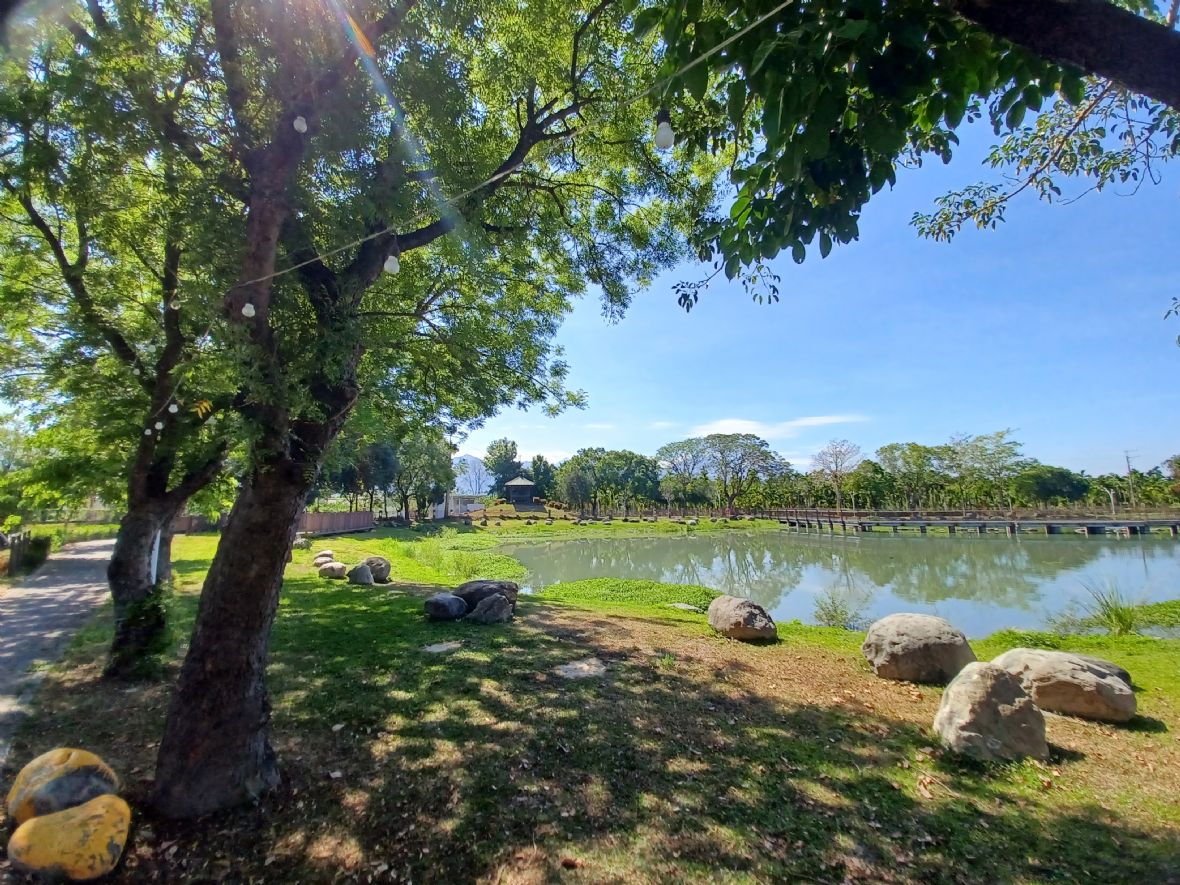 風景秀麗的西湖