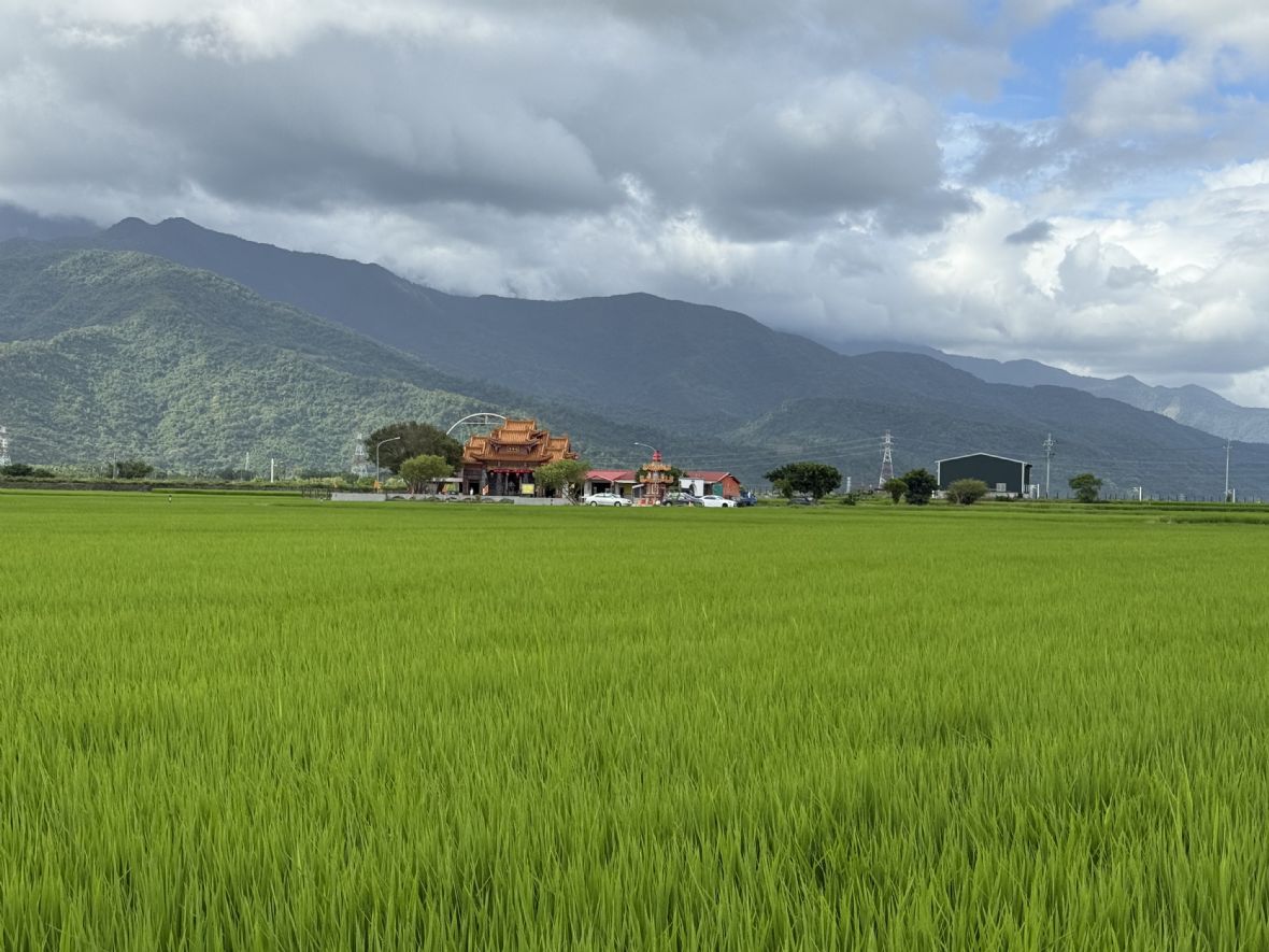 被稻田環抱的田中央土地公