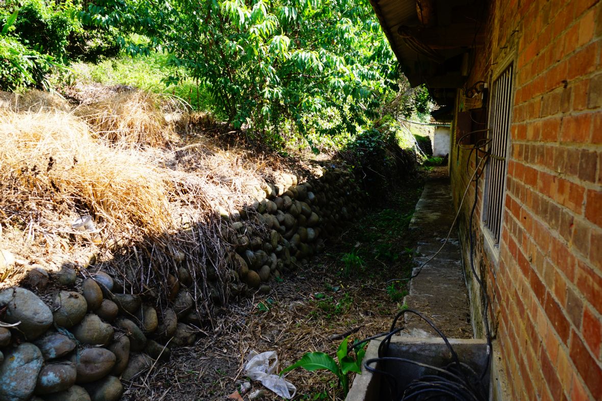 楓樹里馬屋祠堂廳後方化胎