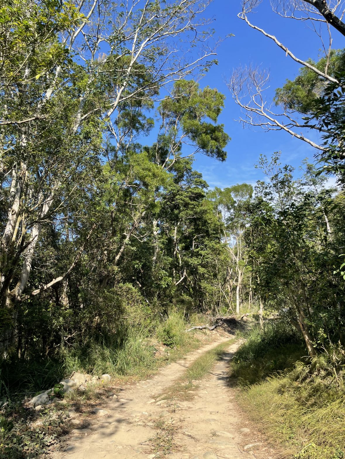 香茅古道上段都是泥土路面