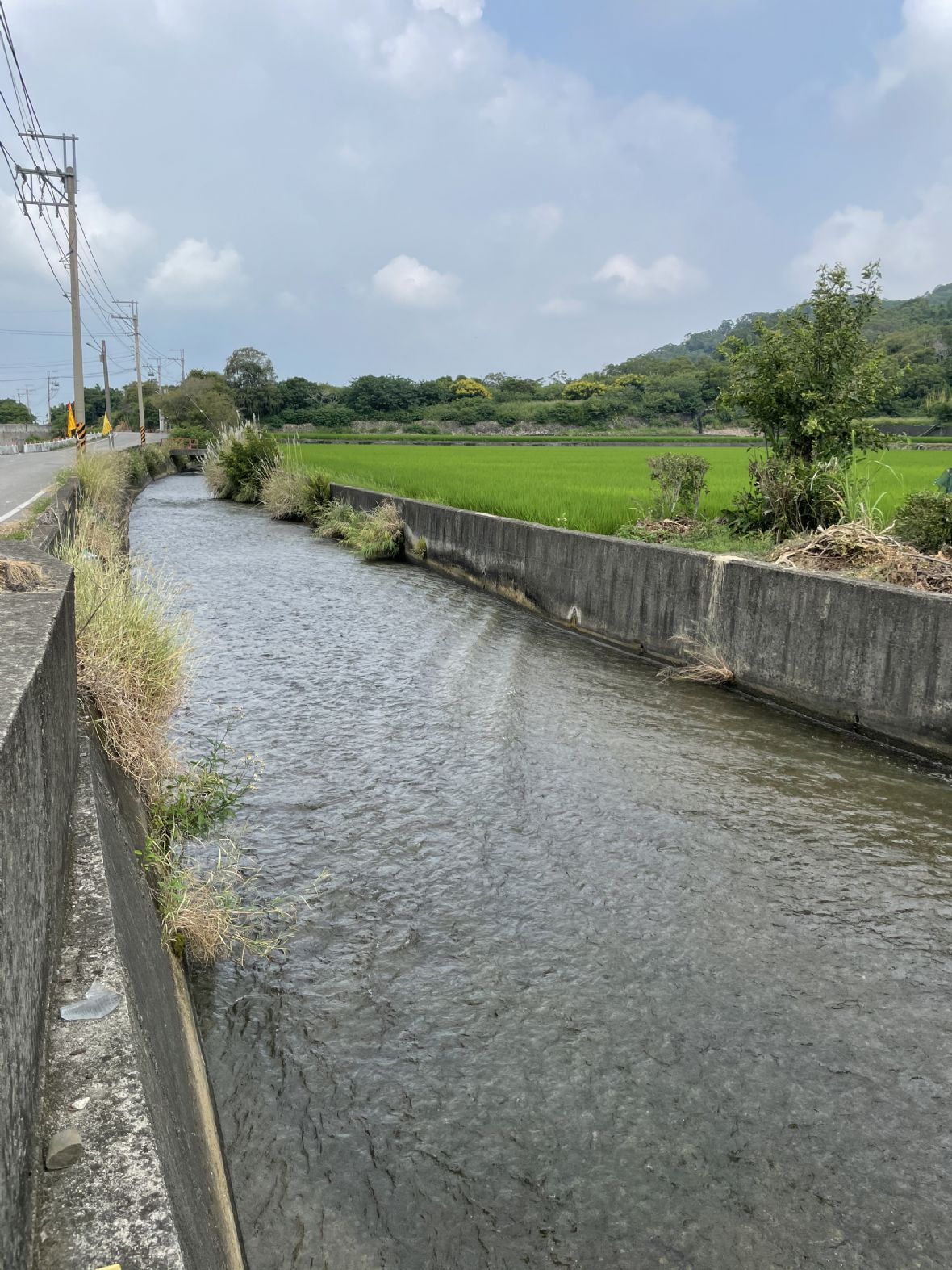 苑裡圳自上館里1鄰的水門引大安溪水進入圳路