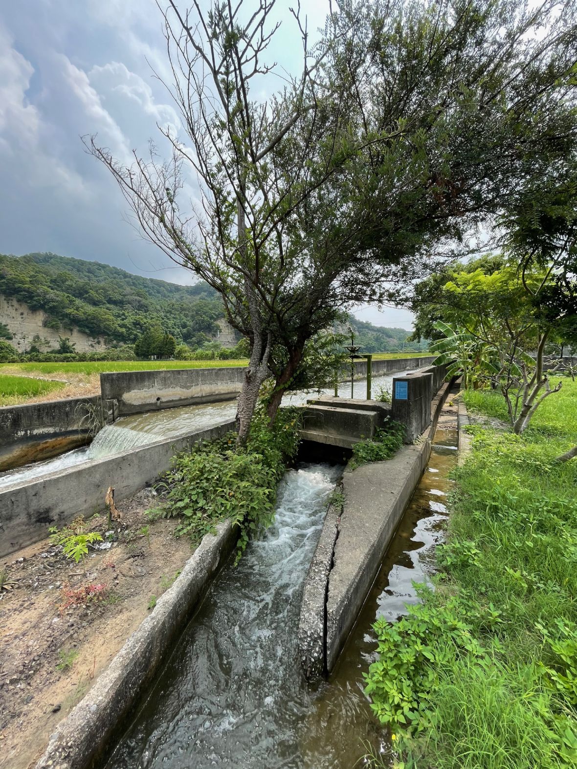 陳啟心從苑𥚃圳開一水門引水灌溉，而這條水圳即被命名「啟心圳」