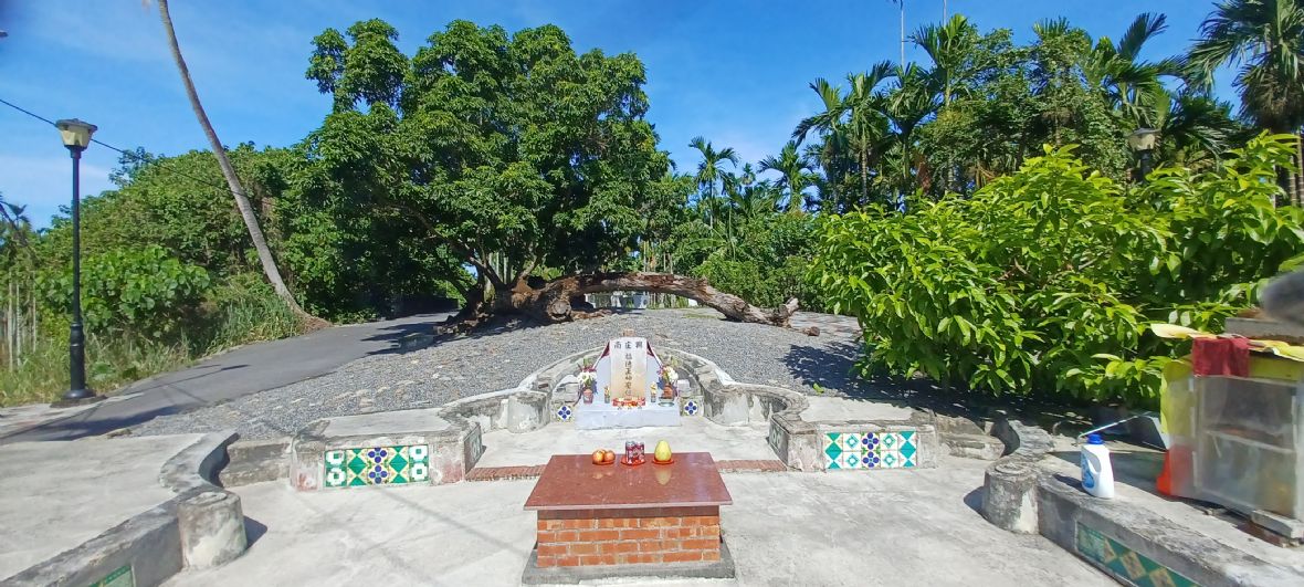 從伯公前方平面來看，形狀呈現雞蛋型