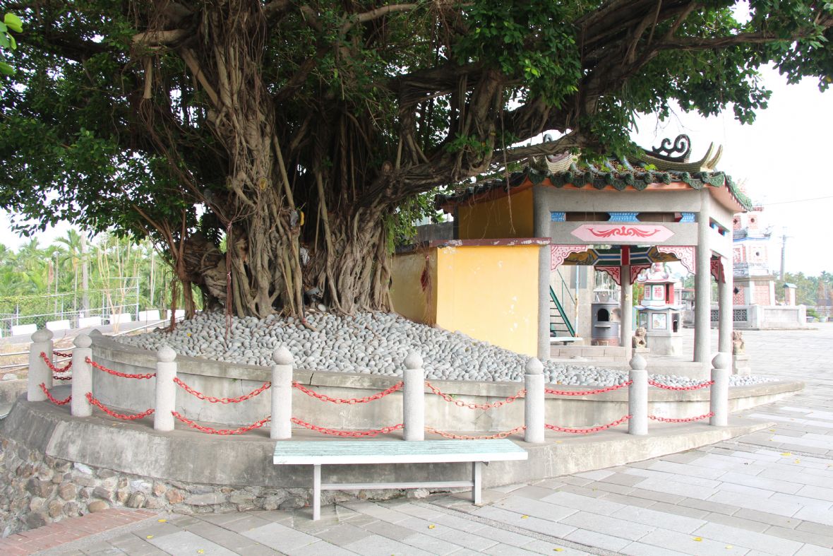 化胎上鋪滿鵝卵石