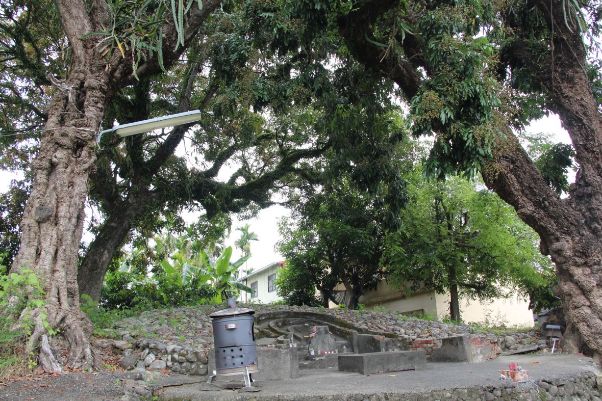 壇旁種有兩棵龍眼樹，年年開花結果，寓意「多子多孫」；右後方高聳的芒果樹，亦成為鍾氏族人共同的成長記憶，承載著地方信仰與家族情感的深厚印記。