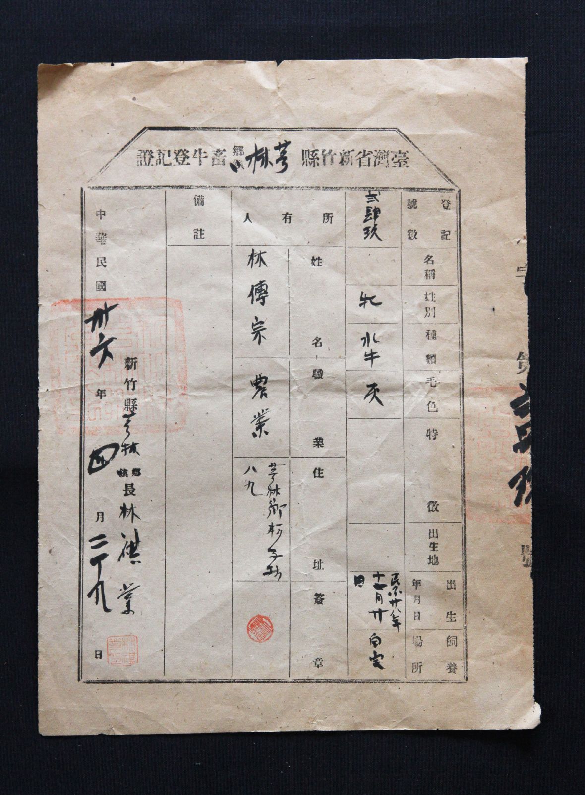 民國36年新竹縣芎林鄉第249號畜牛登記證（林嘉如提供）