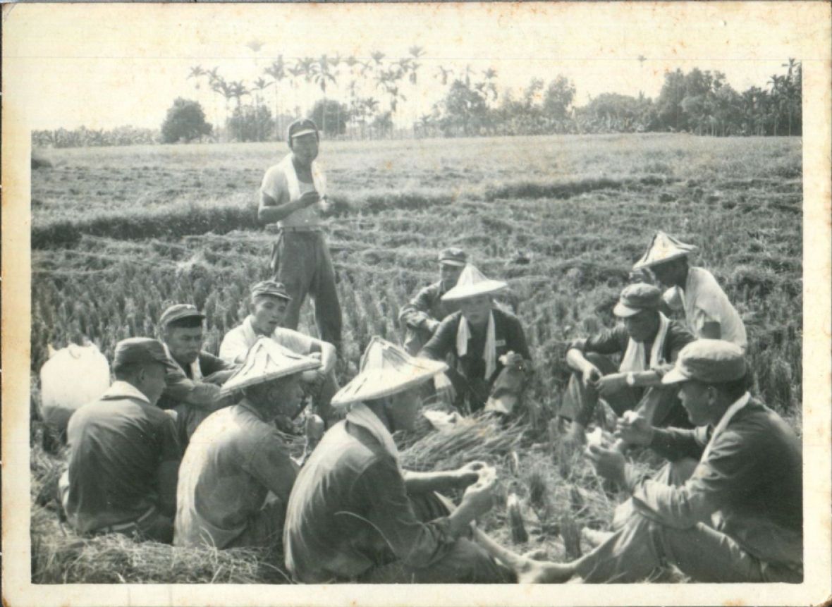 5.李烈熙參加國軍助割照片。李烈熙/提供