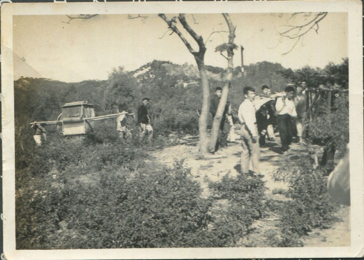 1. 陳秀春民國54年搭轎出嫁，婚轎與陪隊伍行走在頭屋箭竹崠。陳秀春/提供