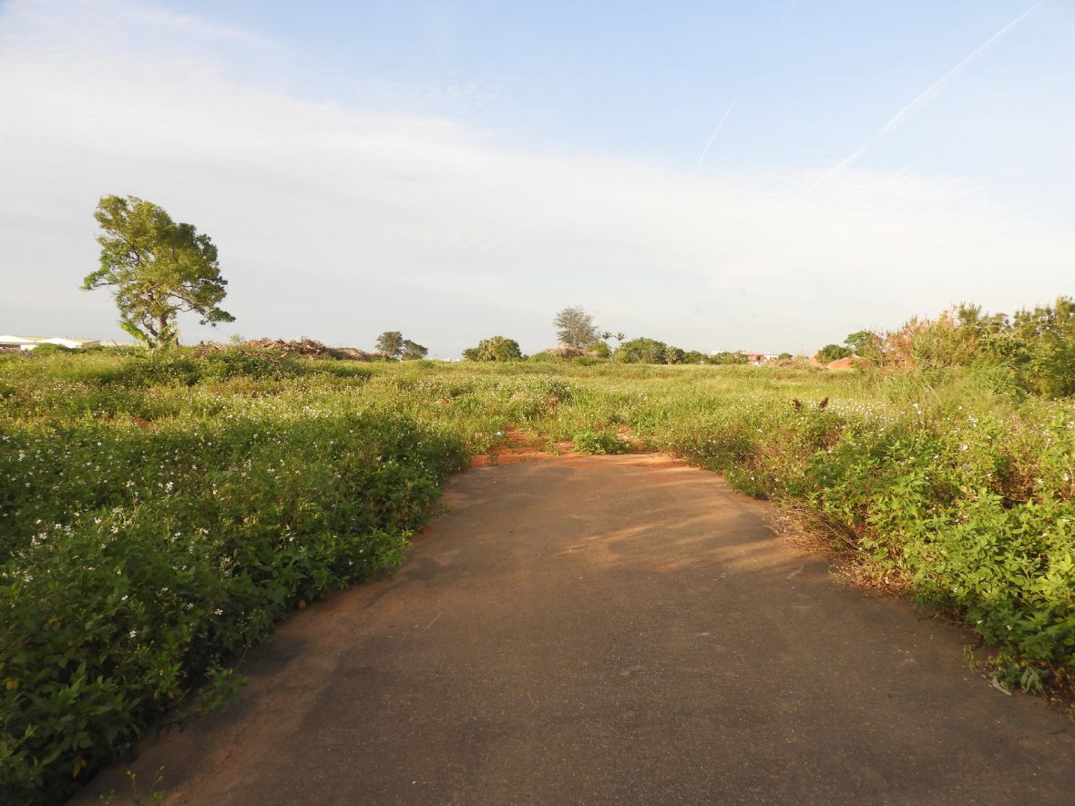 聚德宮及周邊地上物已被移除（林鑫咸攝，2024）