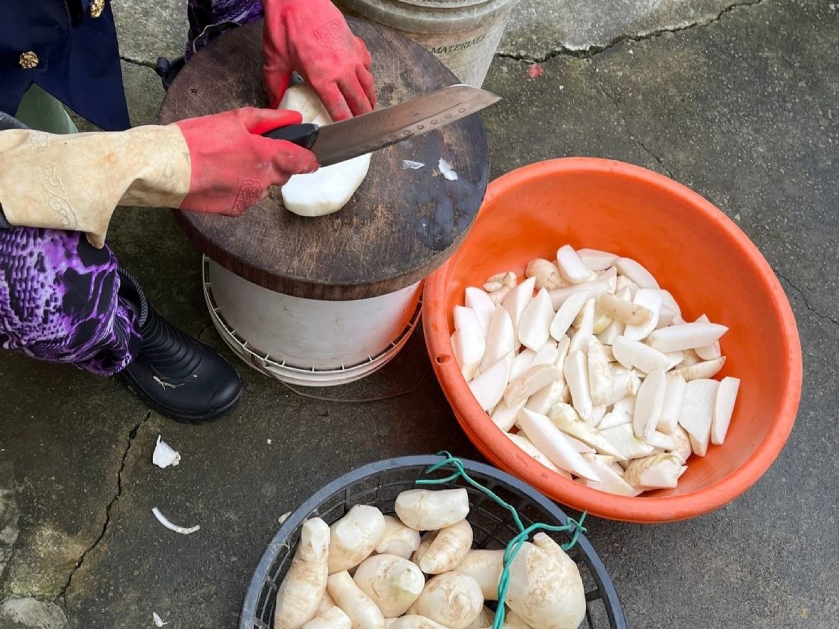 切條狀白蘿蔔經日曬、鹽漬做成菜脯（黃麗雲提供，2024）