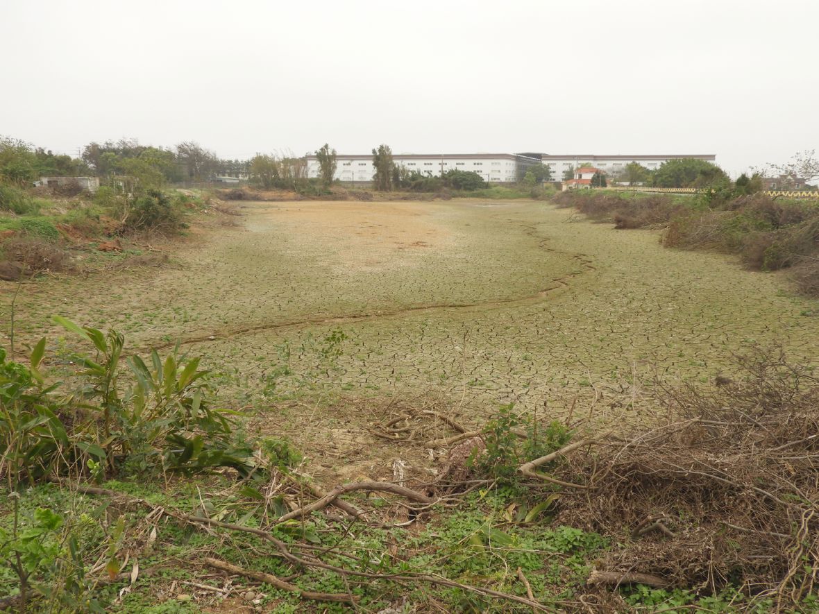 頂橫山小口陂下池現況（林鑫咸攝，2024）