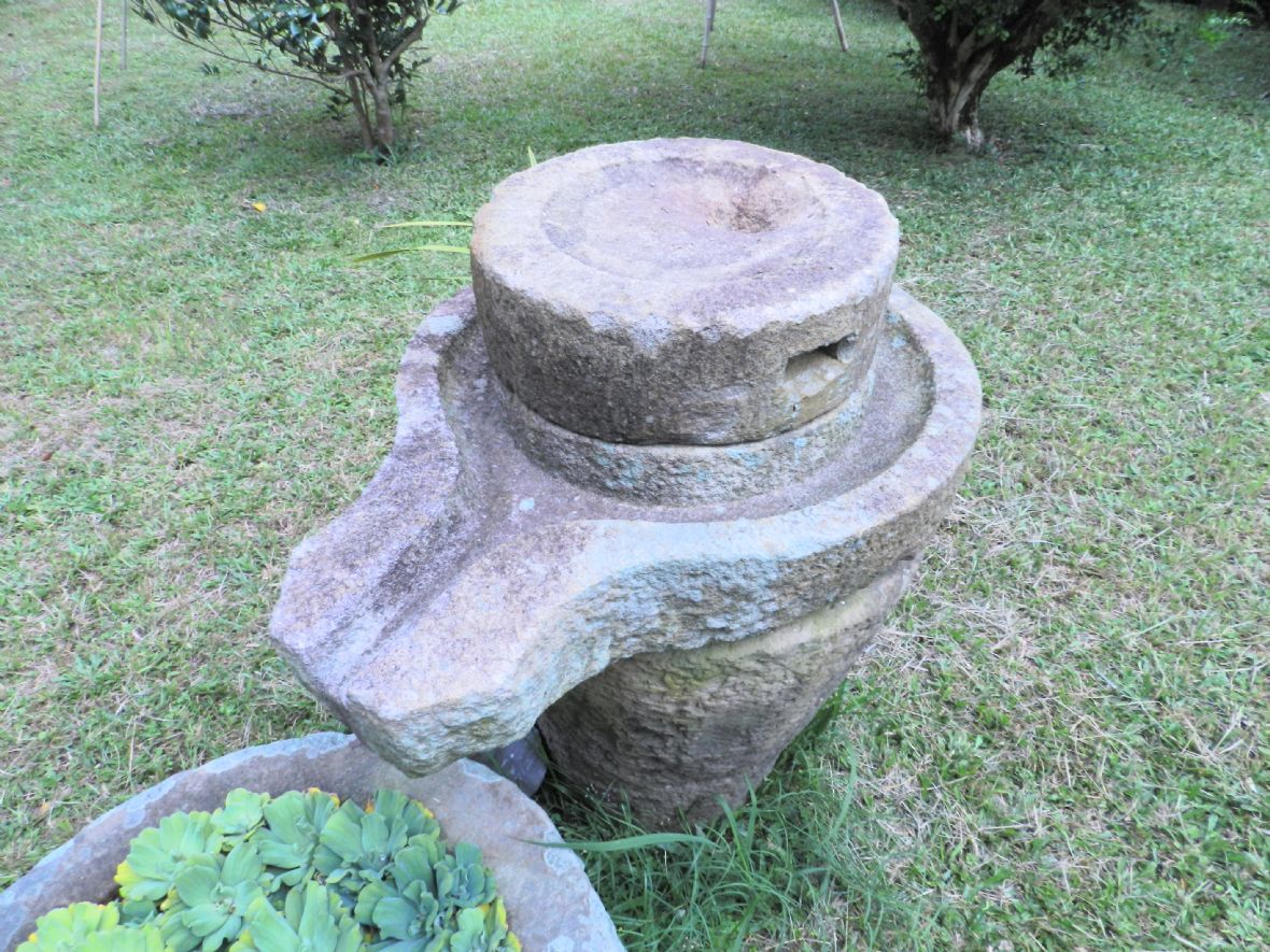 早期研磨用的磨石（林鑫咸攝，2023）