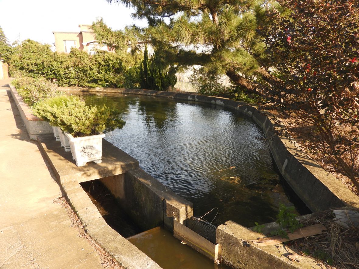 黃家平和居前的半月池（林鑫咸攝，2023）