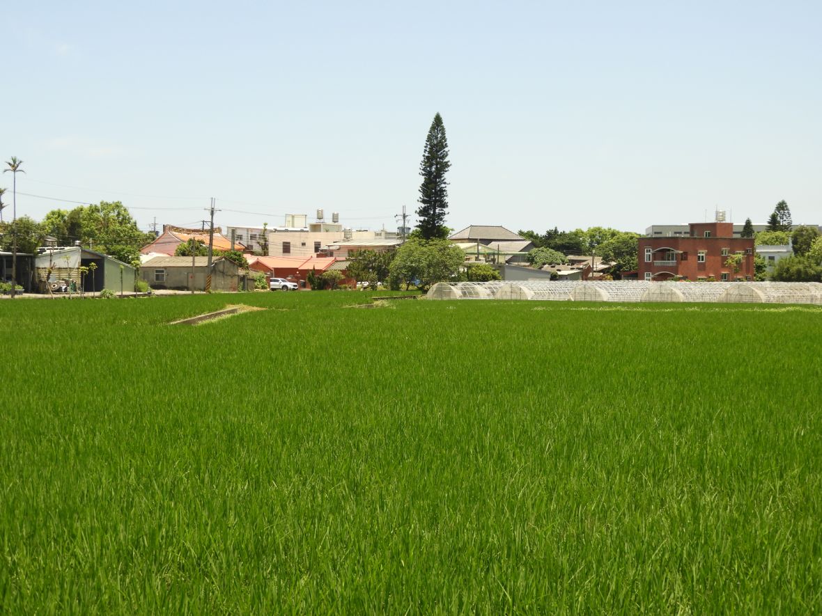 田心里照鏡埔頂黃屋（黃厝）（林鑫咸攝，2025）