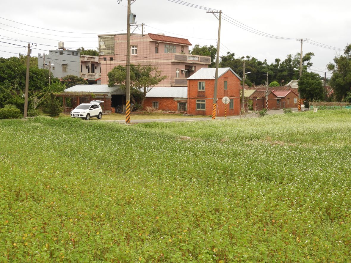  和平里梁姓家族（林鑫咸攝，2023）