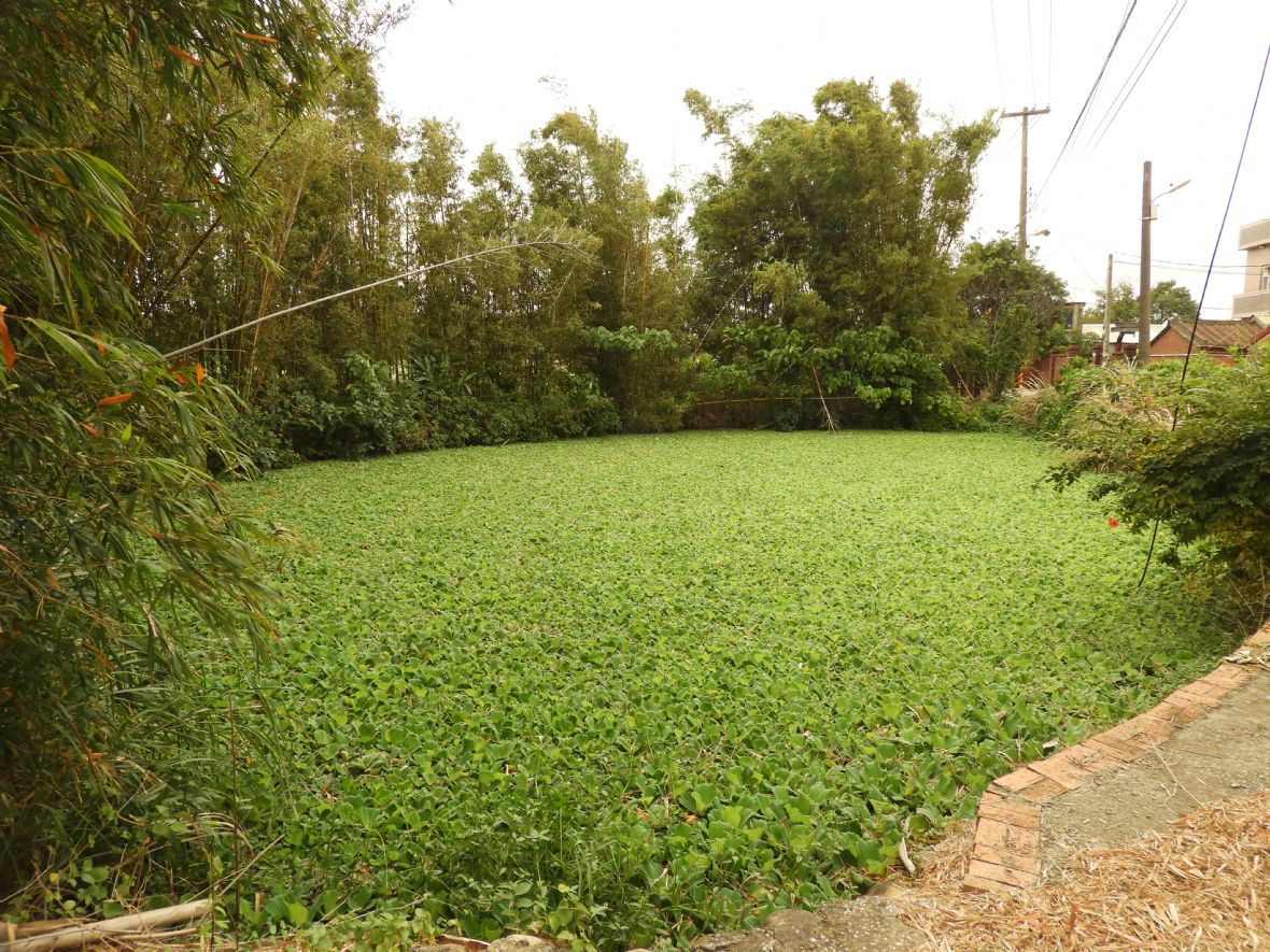  梁家的半月池（林鑫咸攝，2023）