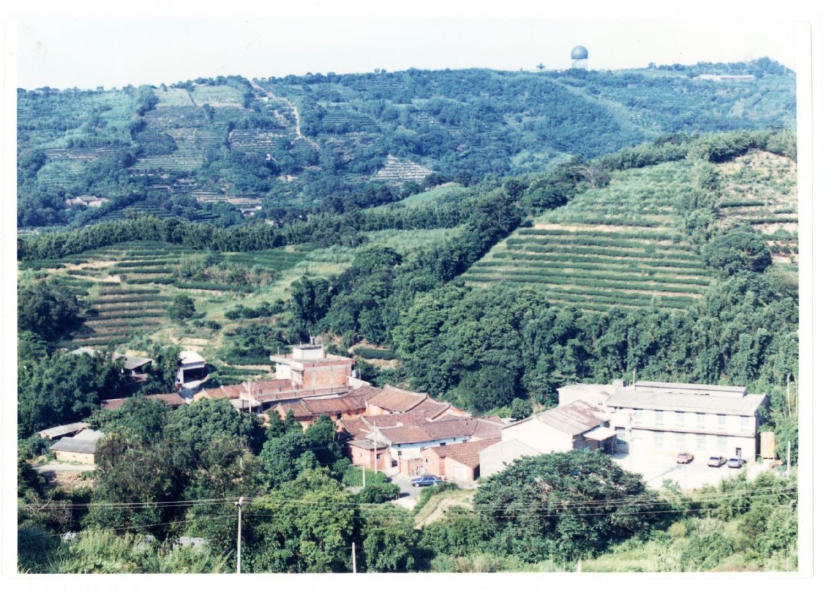 民國80年間拍攝南窩盧家茶園，圖左下為盧煥登三大房夥房屋與圖右下水泥建築的北窩製茶工廠舊址（盧朝烘提供）