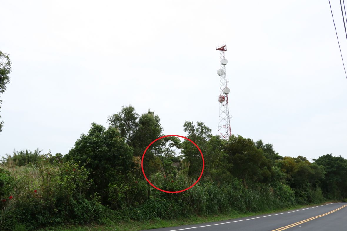 紅色圈線處為軍事瞭望台