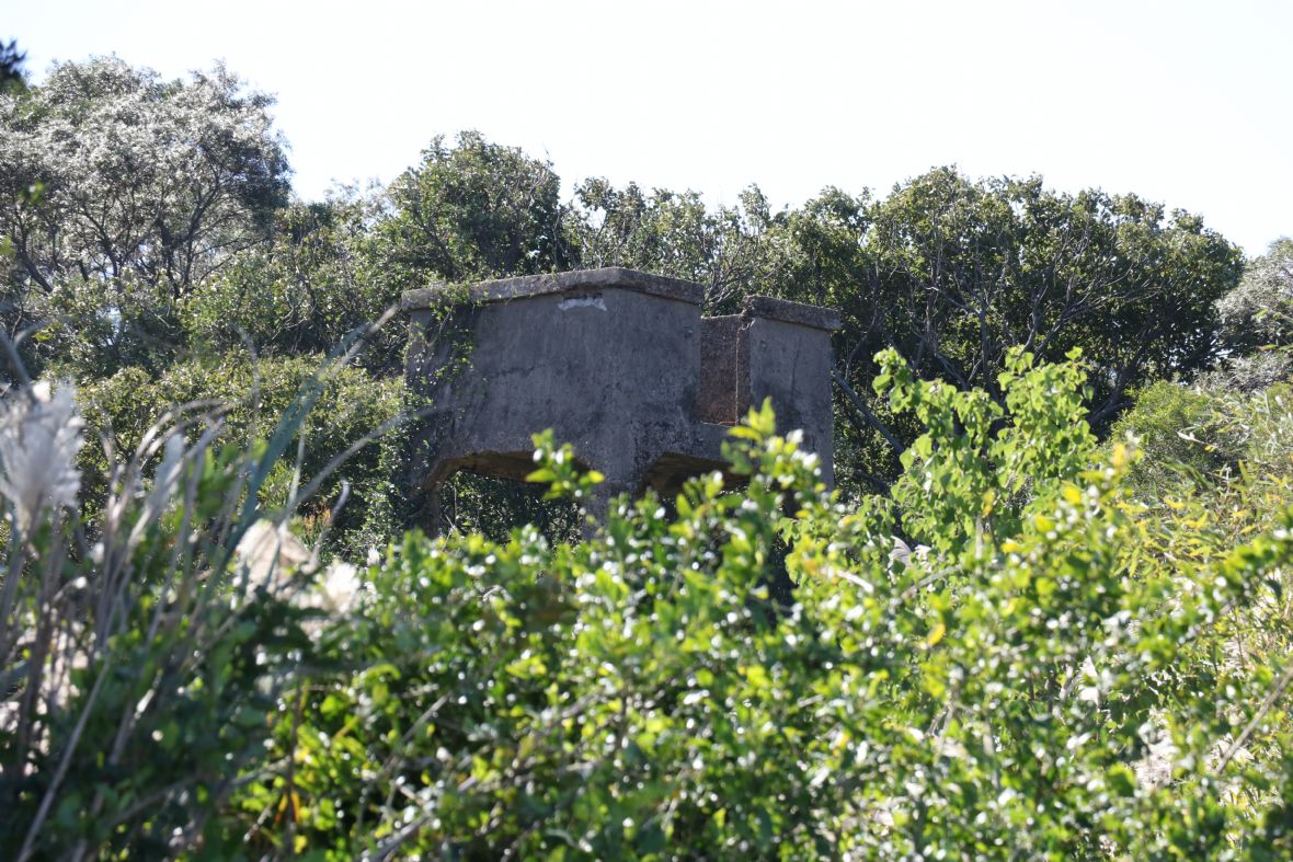 樹林間的軍事瞭望台放大圖示