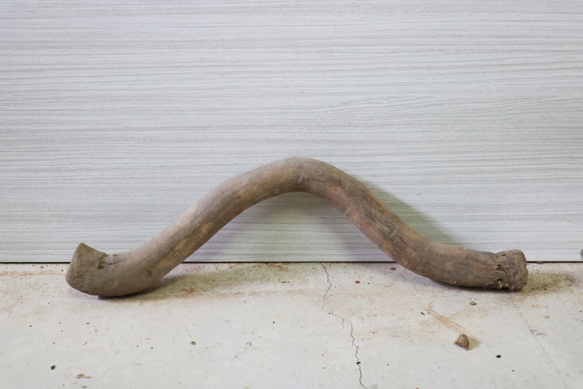 木製牛軛，水牛用牛軛弧度淺