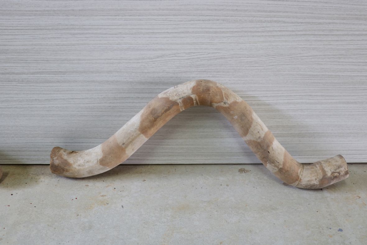 竹管牛軛，水牛用牛軛弧度淺