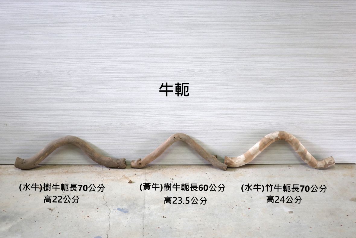 3支牛軛並排比較圖