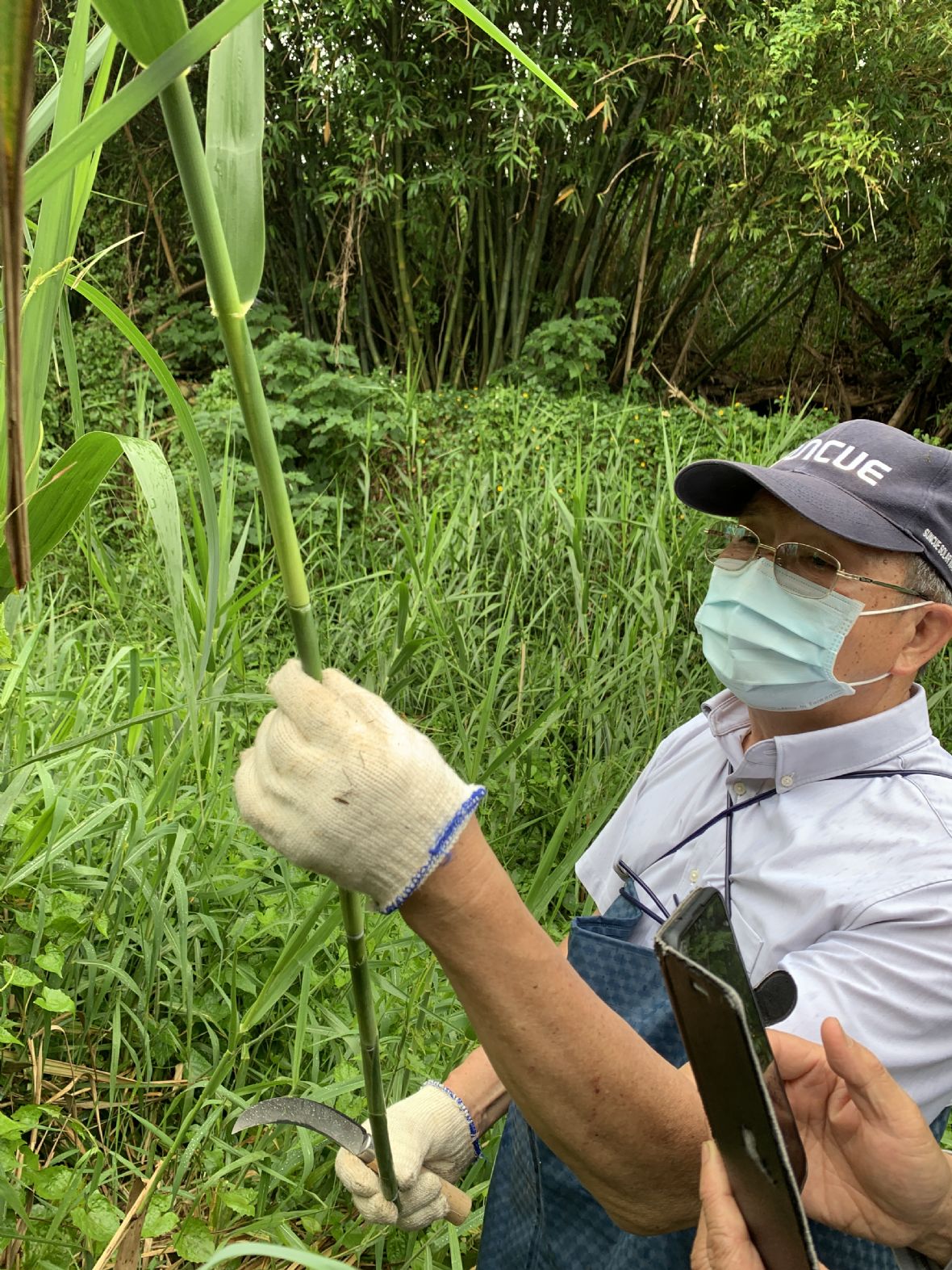 陳涴全於溪邊解說蘆竹的篩選條件