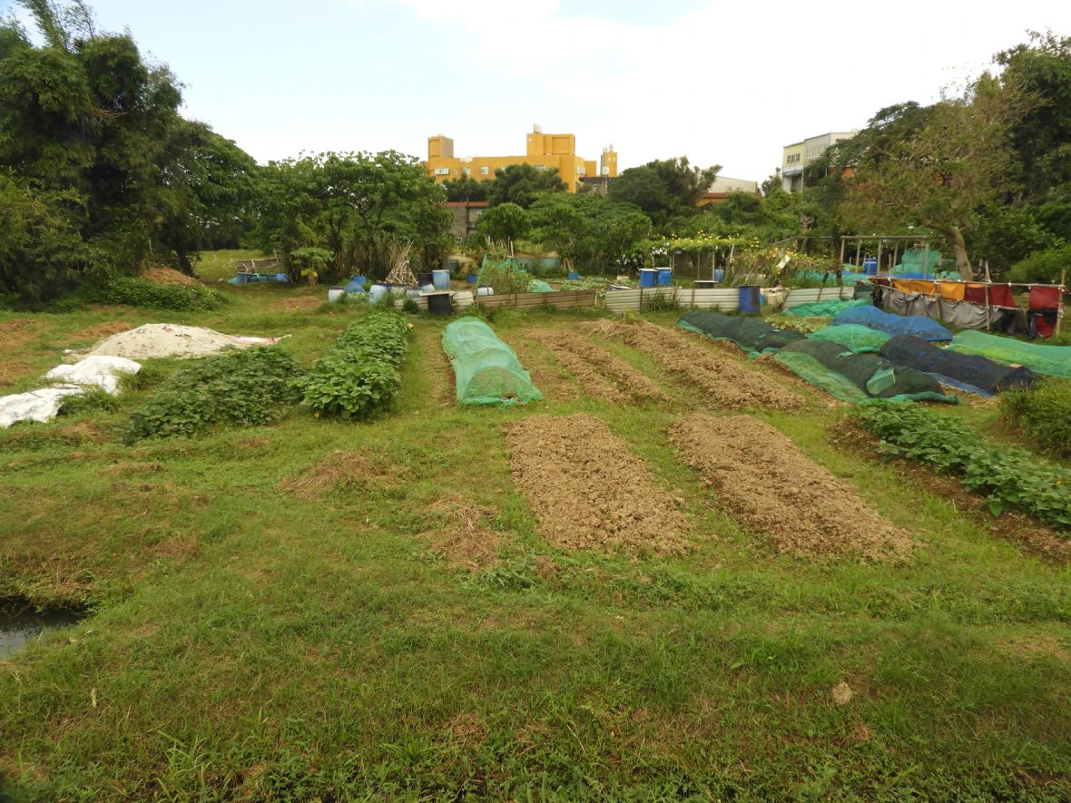  劉家的農田（林鑫咸攝，2024）