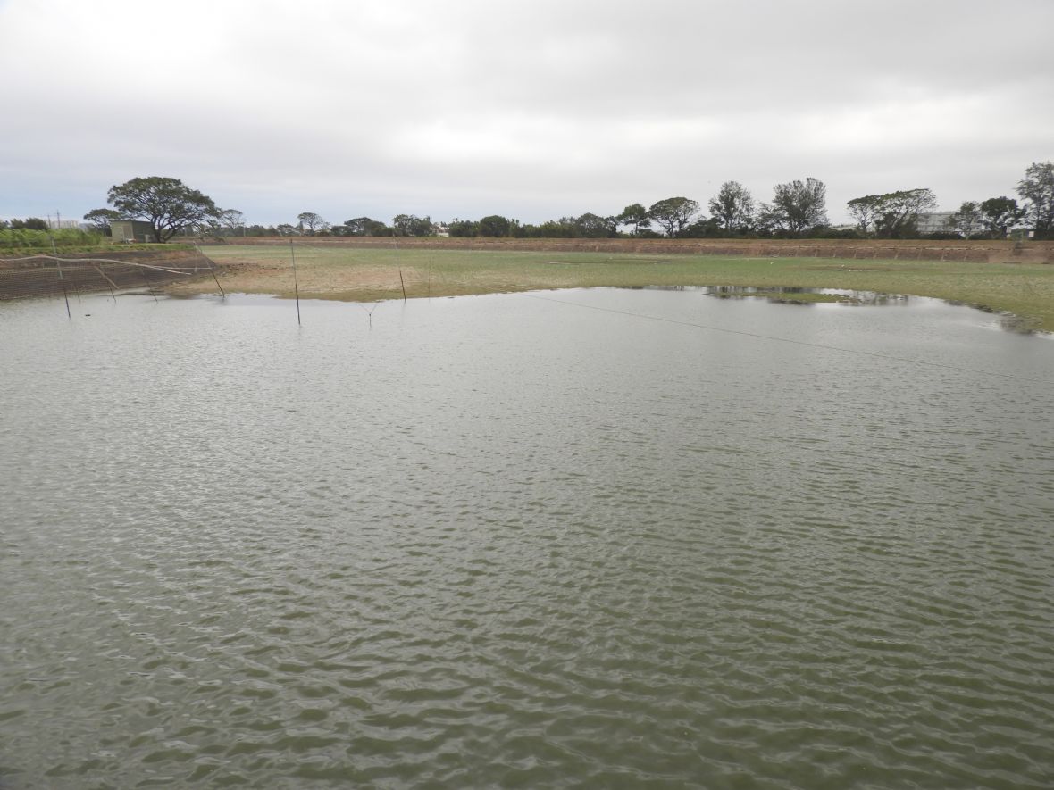  劉家農田灌溉水源-紅土屋陂（林鑫咸攝，2023）