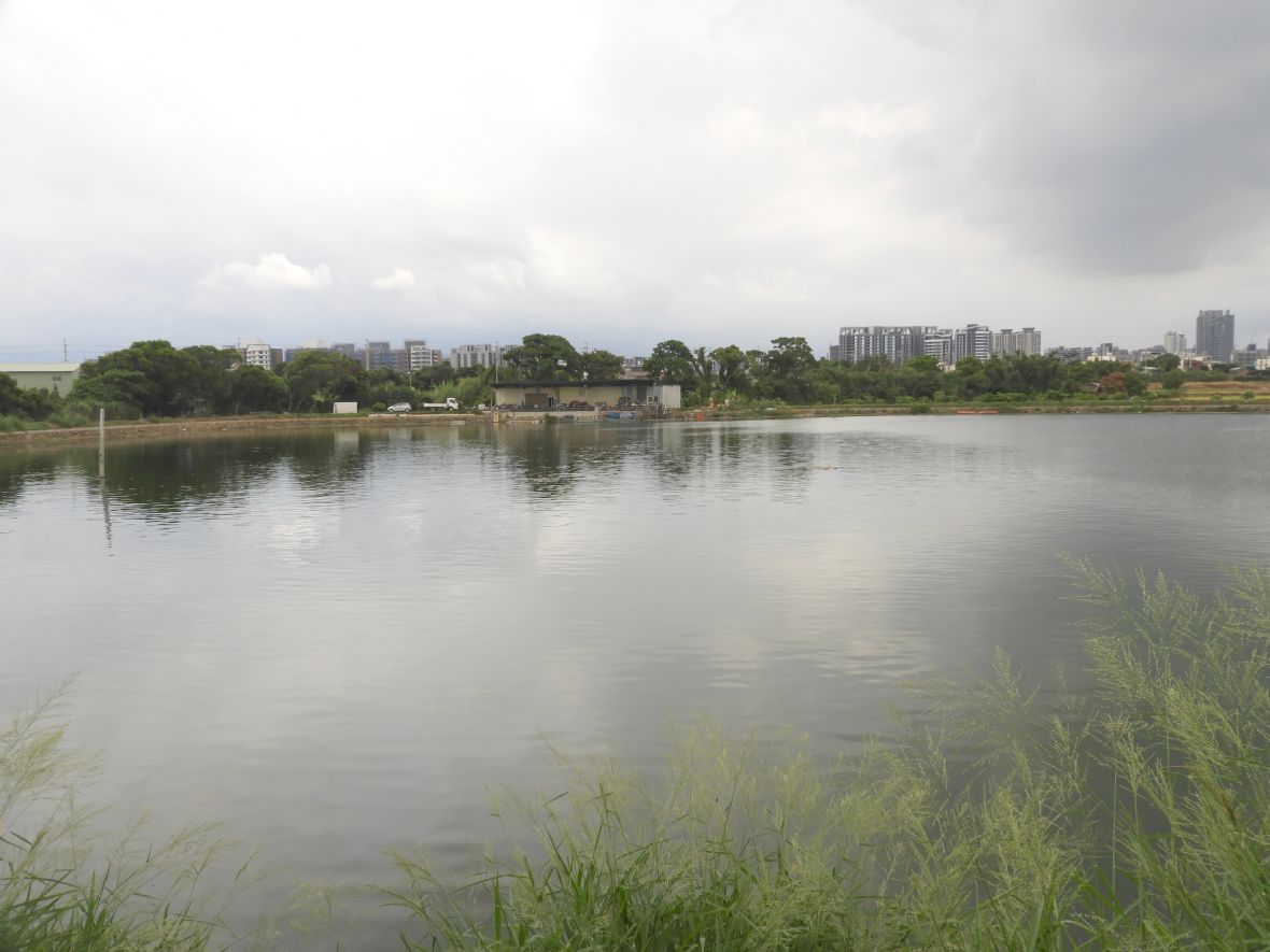 湯家農田灌溉水源-流廊陂（林鑫咸攝，2024）