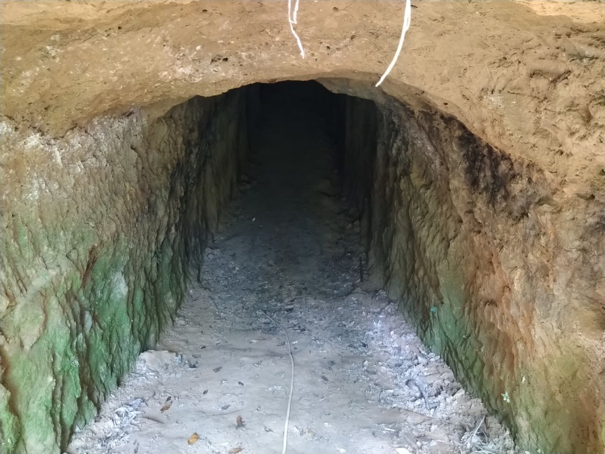 北打鐵坑風之谷攀樹園區內坑道前段