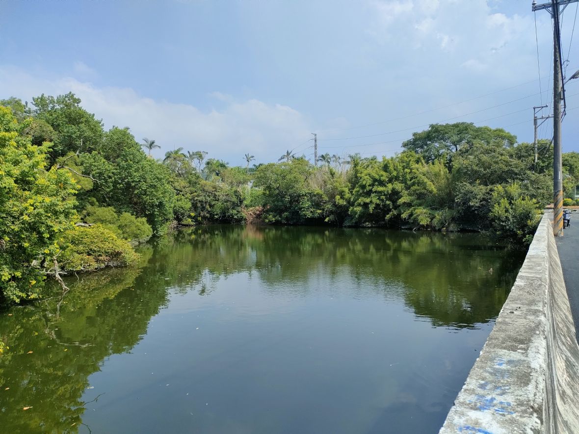長嶺村石門大圳旁保留之私有小型埤塘為大圳開通前典型的埤塘