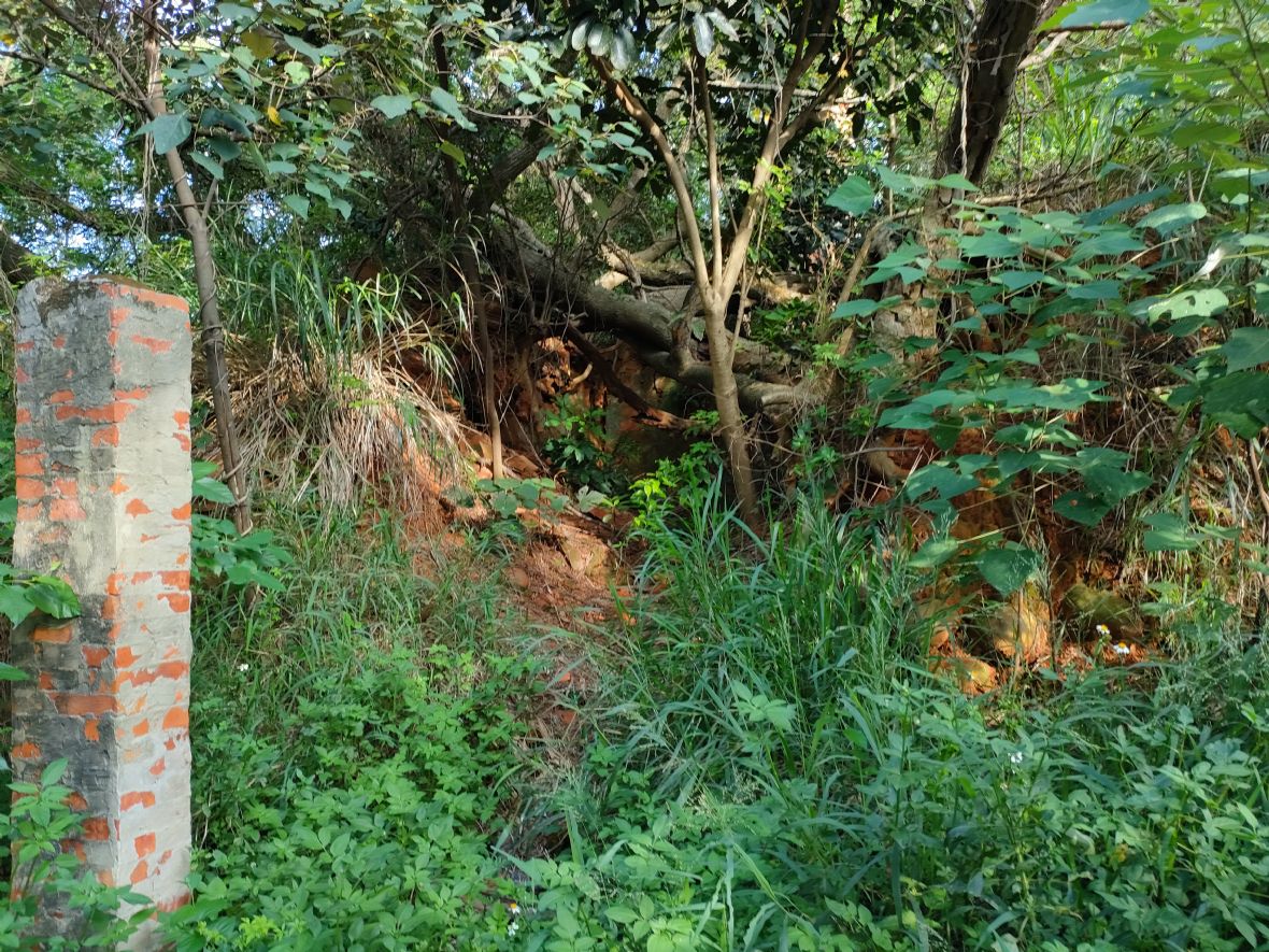 張上聰義合磚瓦工廠窯壁殘跡