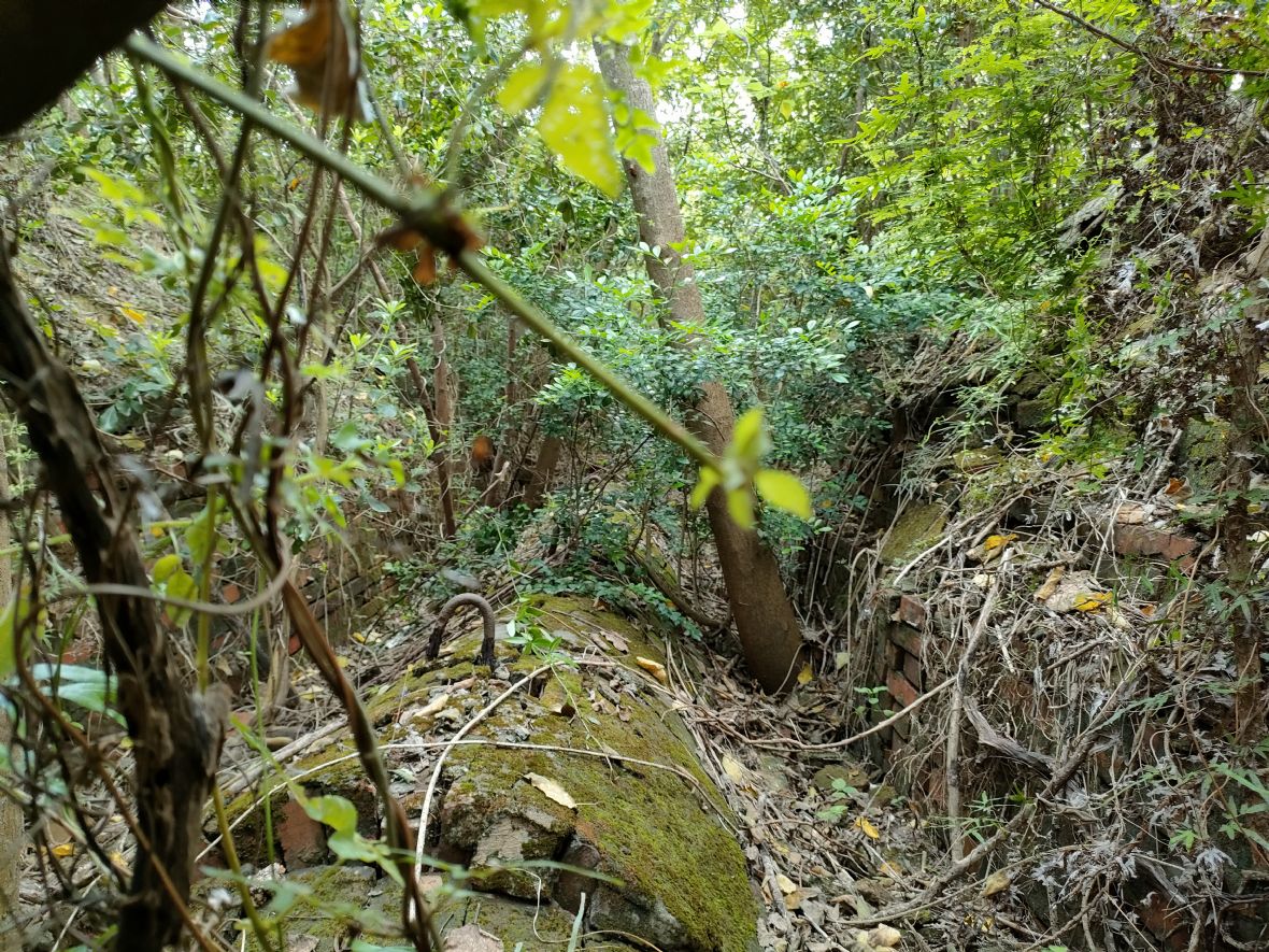 波羅汶磚廠中央煙道在4個窯室中間