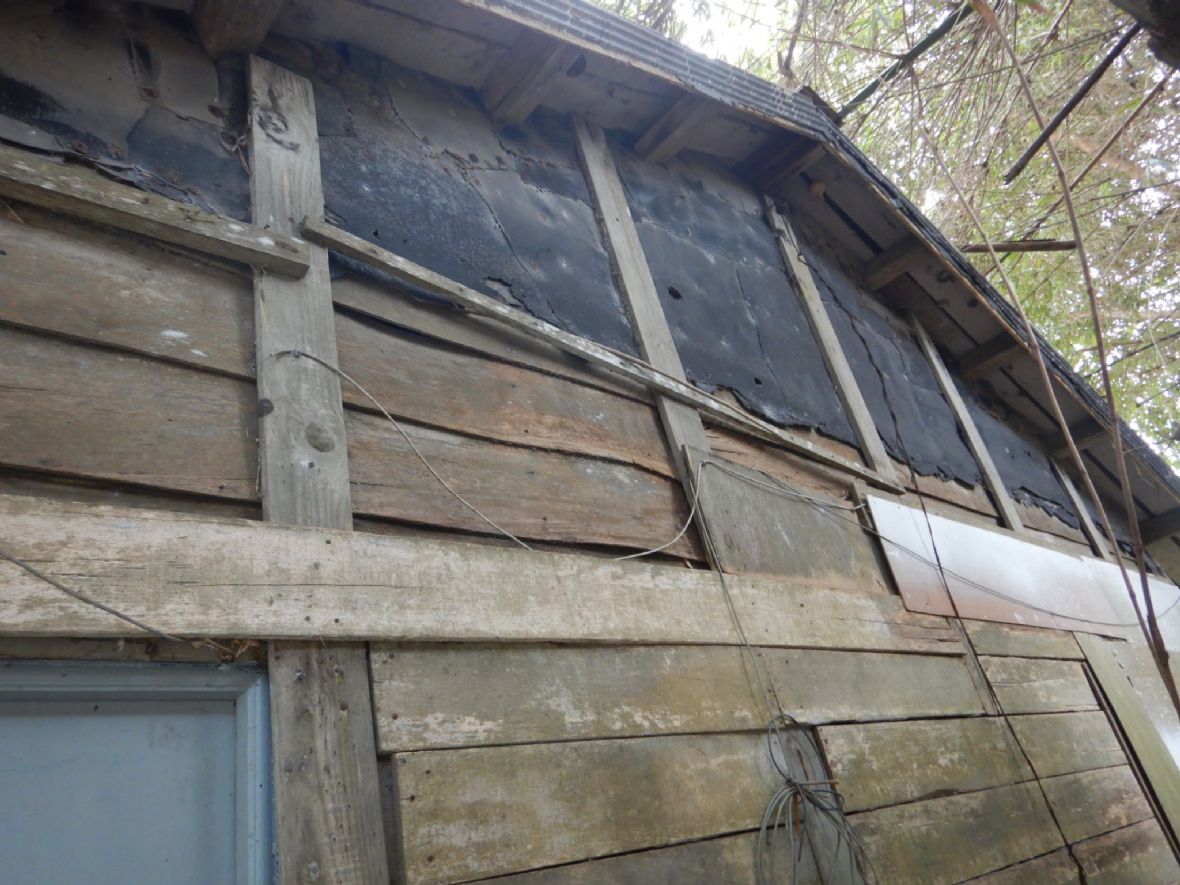 屋側仍存茄苳老木板，保留早期建材樣貌（曾純純攝，2024）