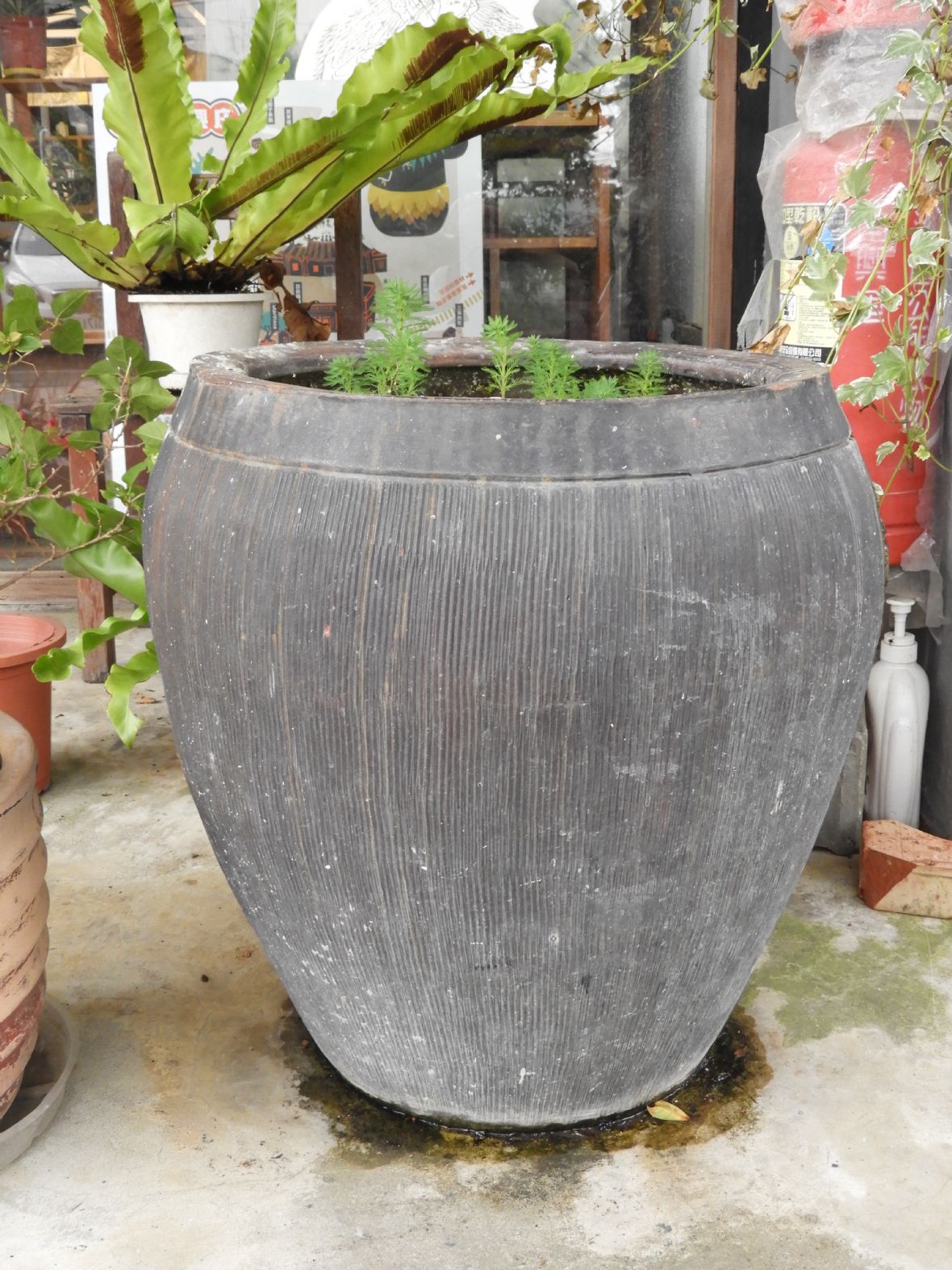 陶製儲米器物(林鑫咸攝，2024)