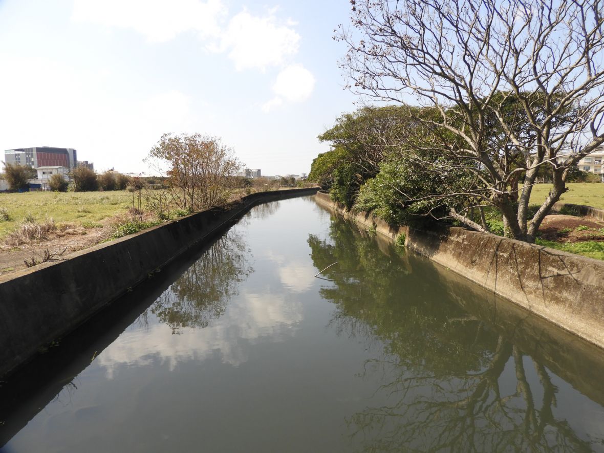過嶺大岳流芳許屋前方的大堀溪 （林鑫咸攝，2025）