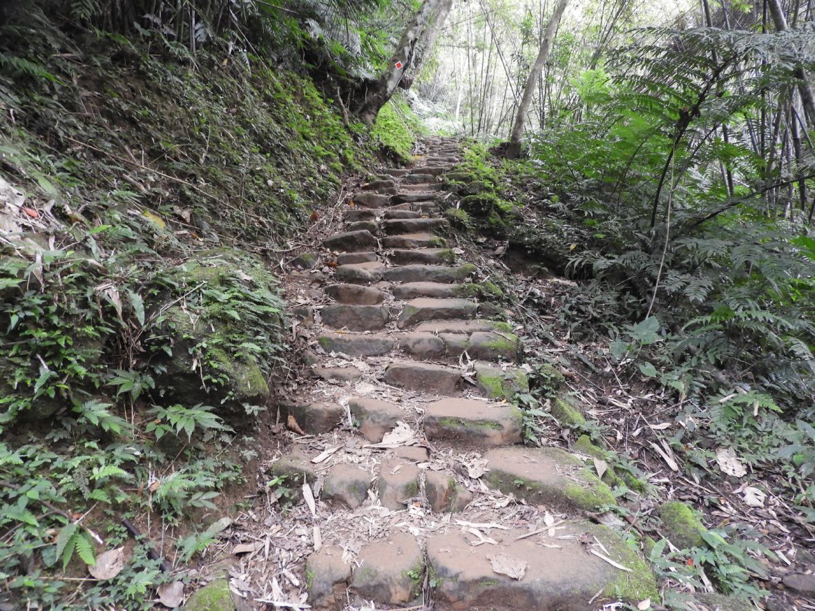 福安里三層水汴頭復昌宮東南方的打鐵寮古道（林鑫咸攝，2022）